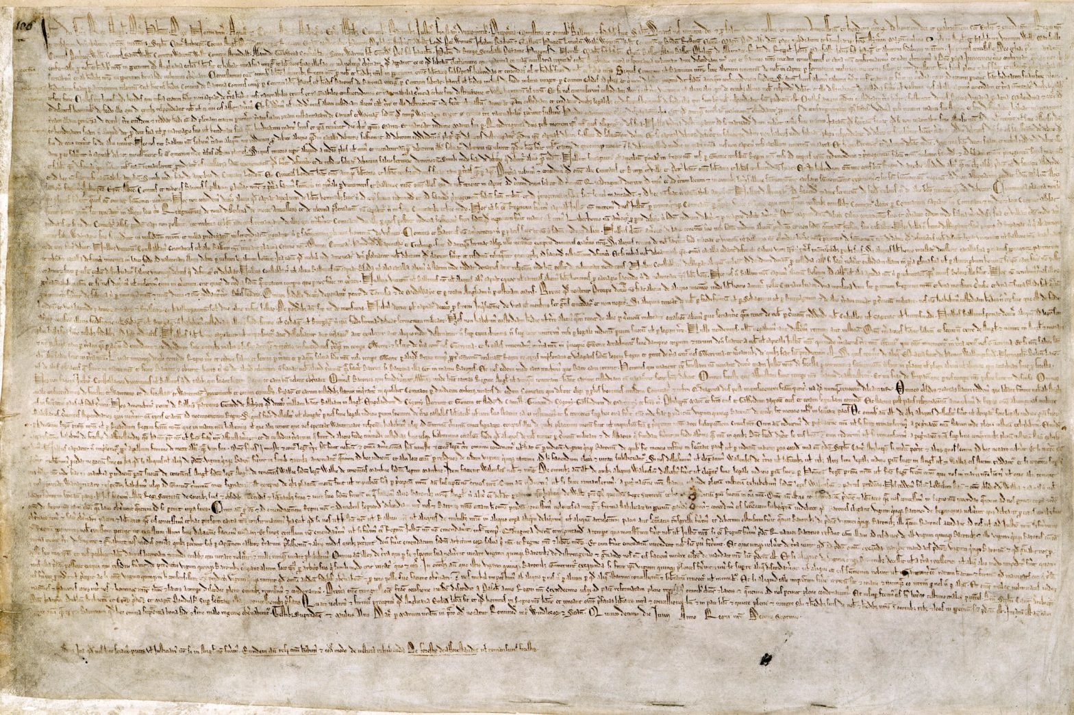 Magna Carta Novelty